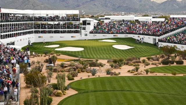 萨虎视眈眈 萨虎视眈眈